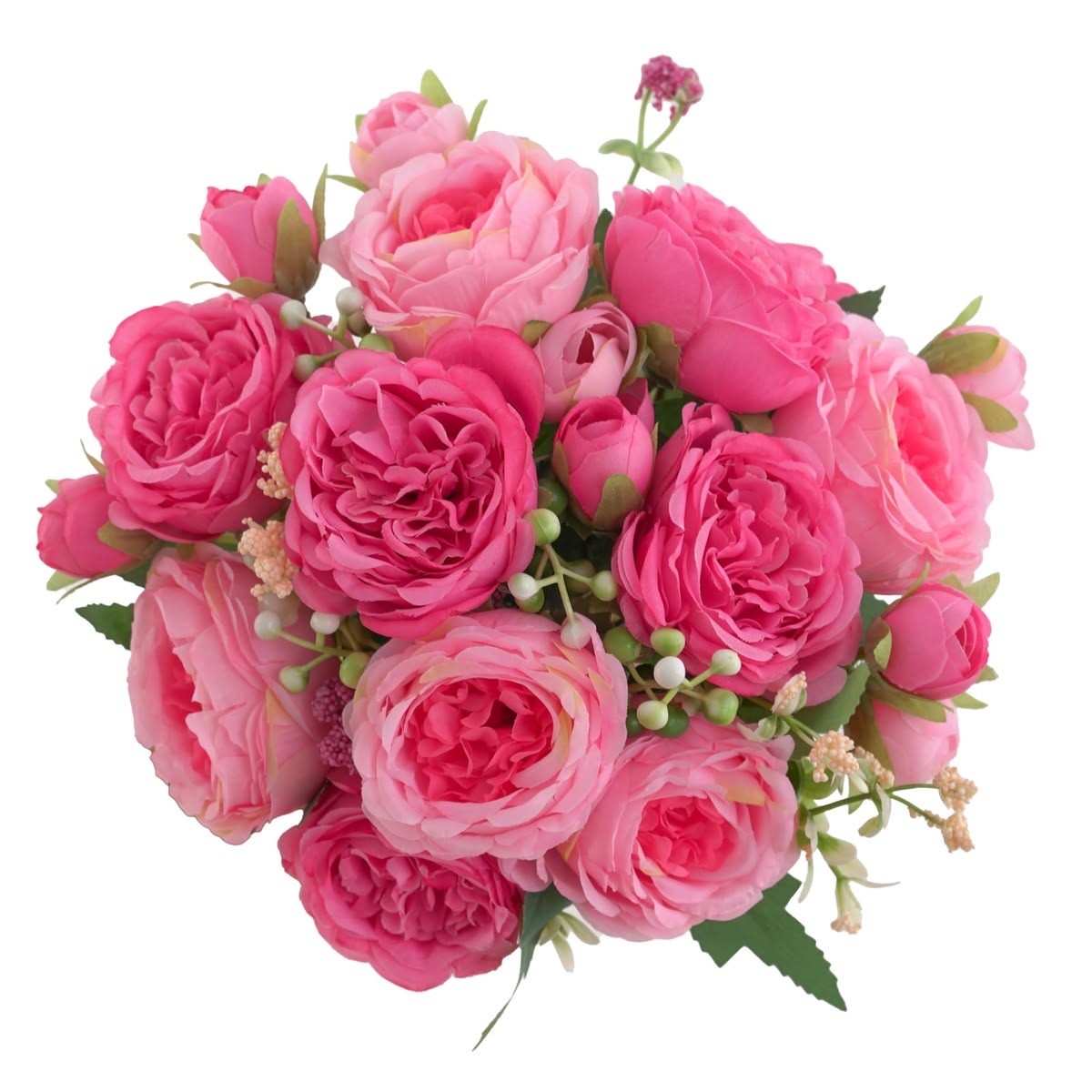 Peony Rose Lush